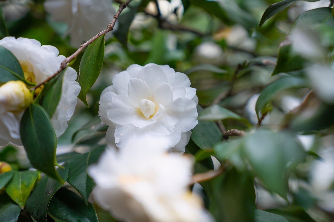 福州7日游的最佳攻略,福州一日游最佳方案旅游攻略