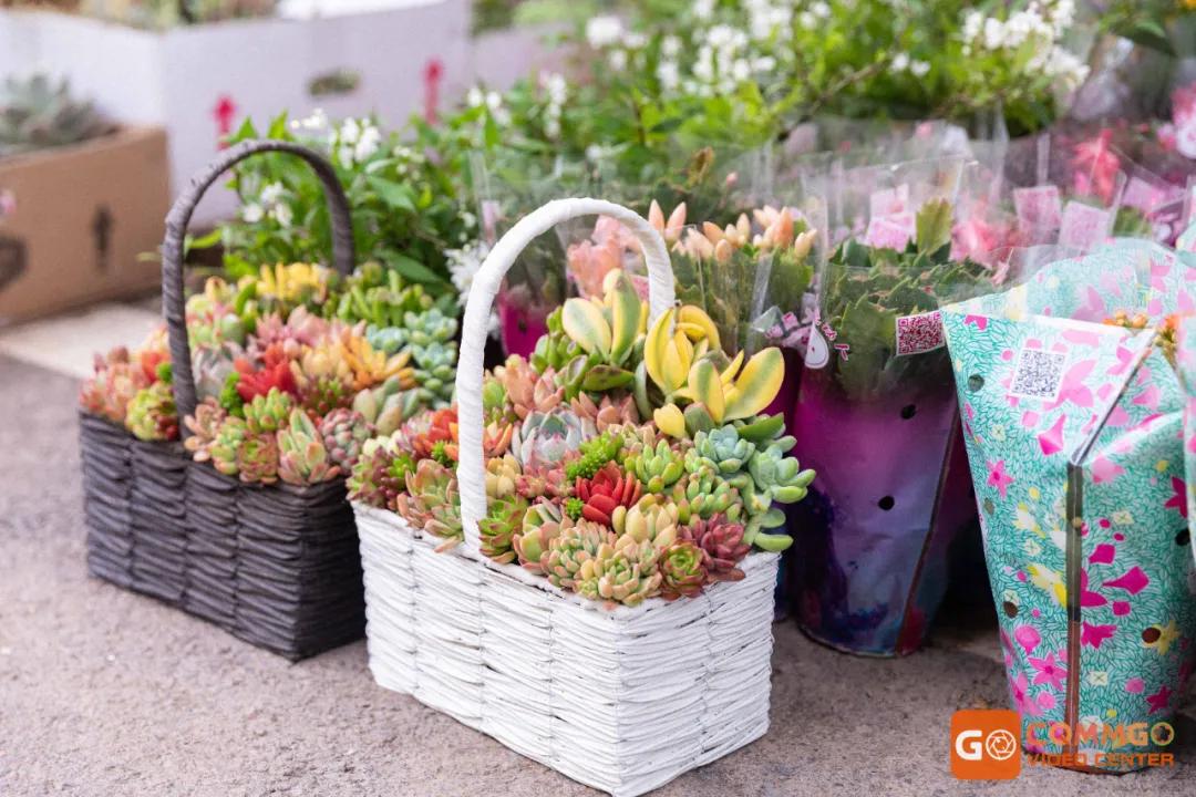 重庆花市排名前十名,重庆花市哪里最便宜