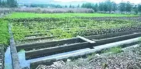 氧化塘处理养殖废水,养殖废水处理全套流程图