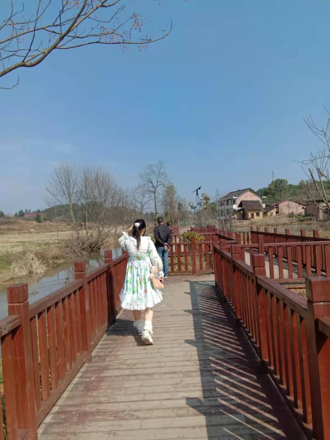 小小鸟,长篇小说)第五章不一样的天空第5节