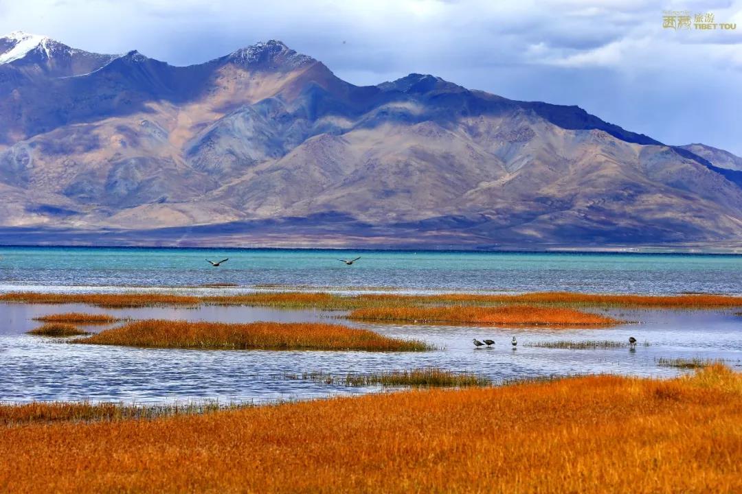 阿里自驾公路图,中国国家地理阿里自驾