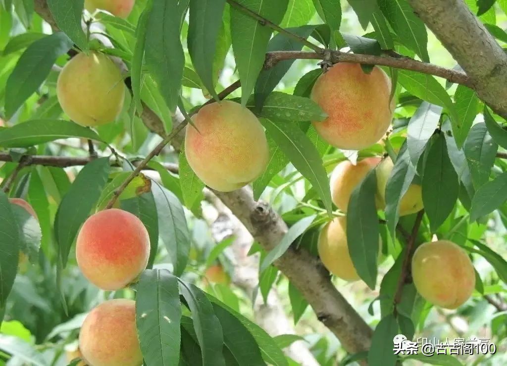 与兰亭对应的书法圣地,兰亭书法纪念馆