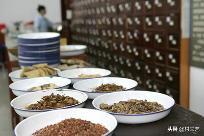 药鉴本草莪术,药鉴阅读