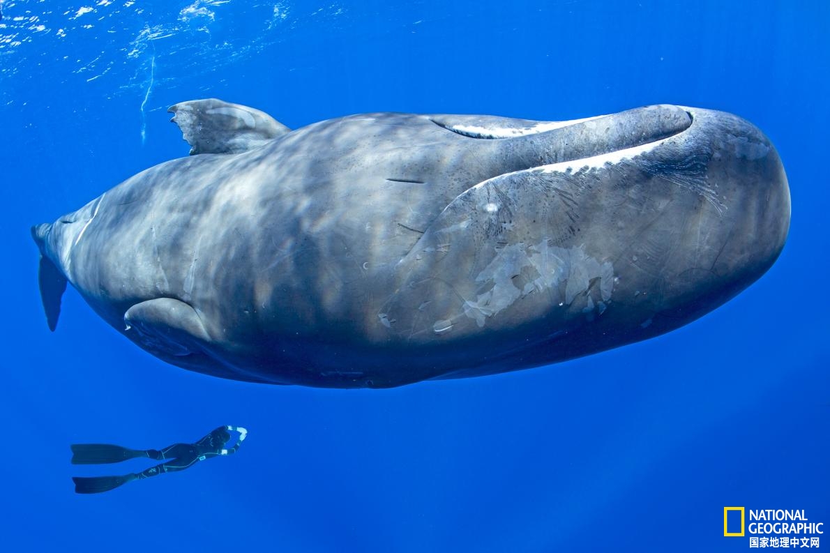 2020年不可错过的美景,2023年必去的旅行