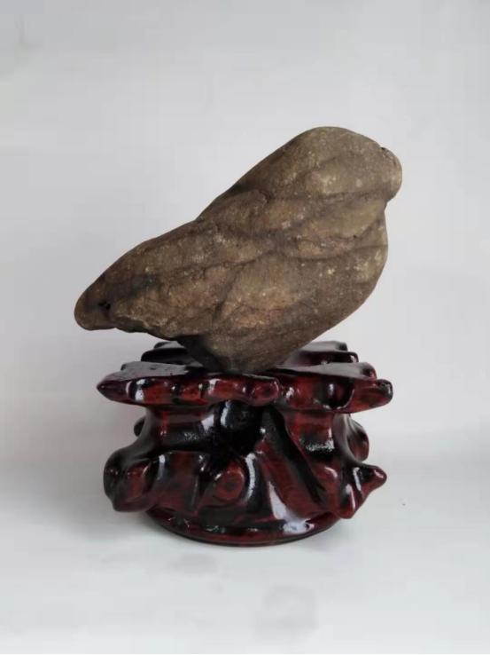 都是些什么“鸟石”？保证有你好看