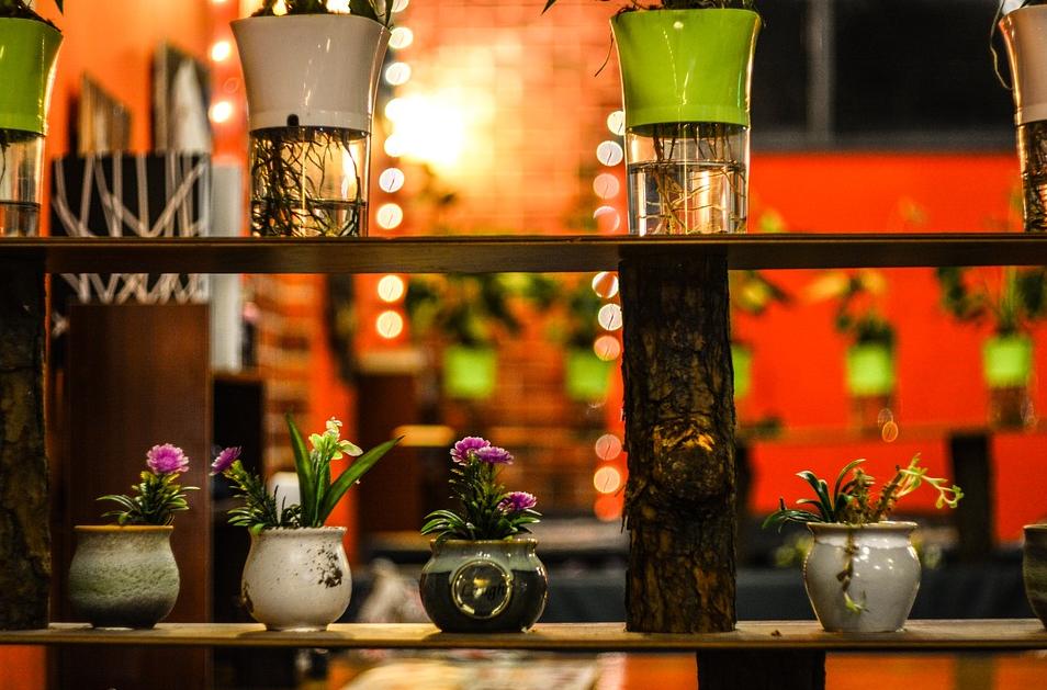 农场怎么装饰好看,农场怎样布置省钱