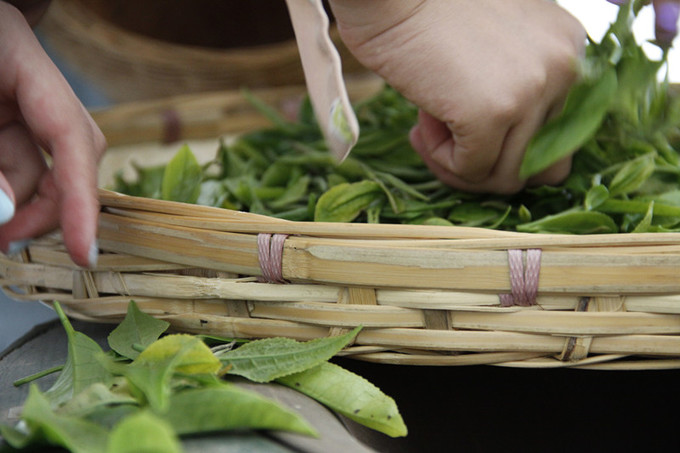 苍山的正确打开方式——做一日清闲山里人
