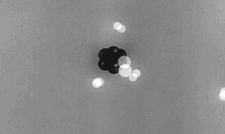 施一公量子纠缠被实验证实,施一公量子纠缠效应