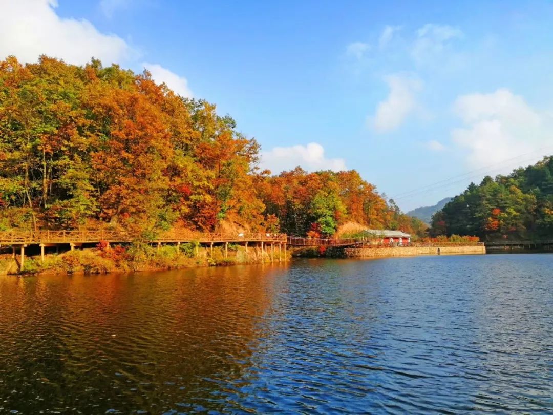 西泰山的特点是什么,西泰山为啥叫西泰山