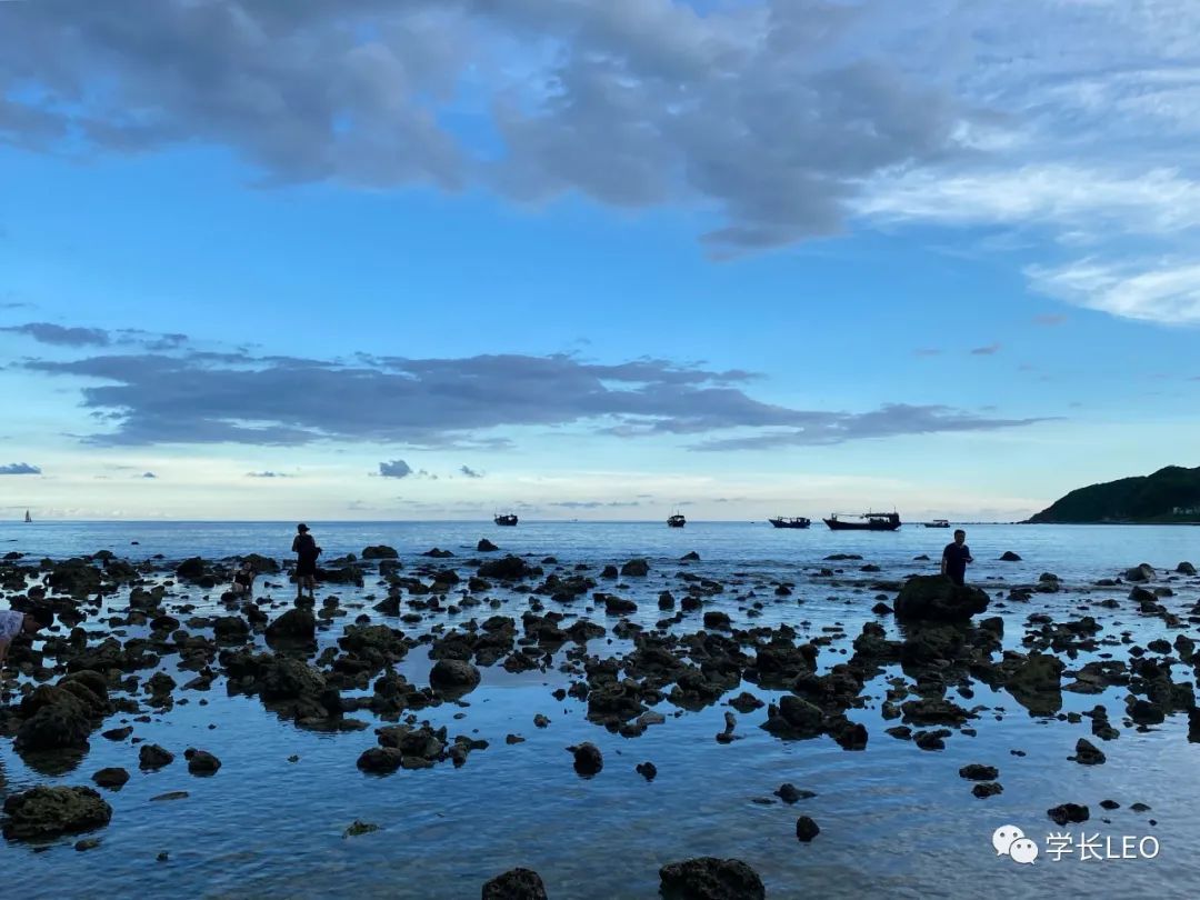 哈佛学长碎碎念：夏天就应该去海边，南方的海有多美？