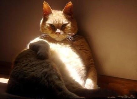 心理学：满足这三个条件，好人瞬间可以变成坏人