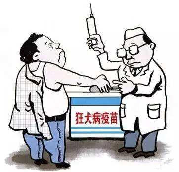 小孩被猫狗抓了咬了会怎么样,小孩被猫狗咬