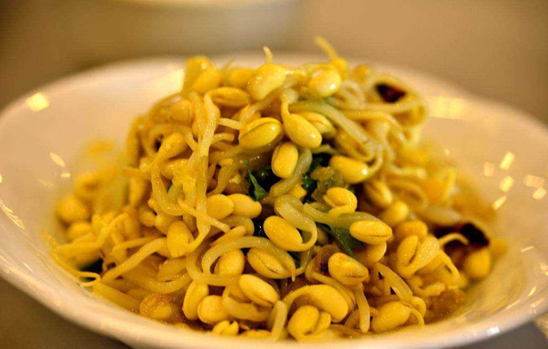 乡情散文田野情怀,春念乡情散文