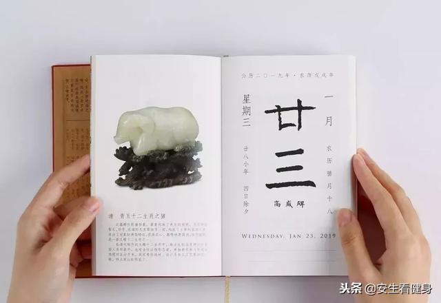 鏂伴矞浜嬪効,浣撹偛鏂伴矞浜嬪効