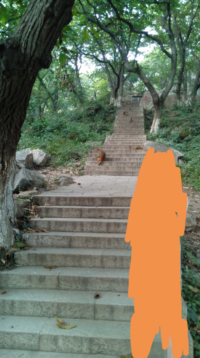 连云港花果山一日游详细攻略,宜阳花果山一日游最佳攻略