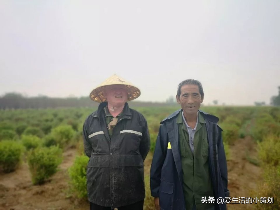 新河县农村扶贫政策,打通百姓致富路最后一公里