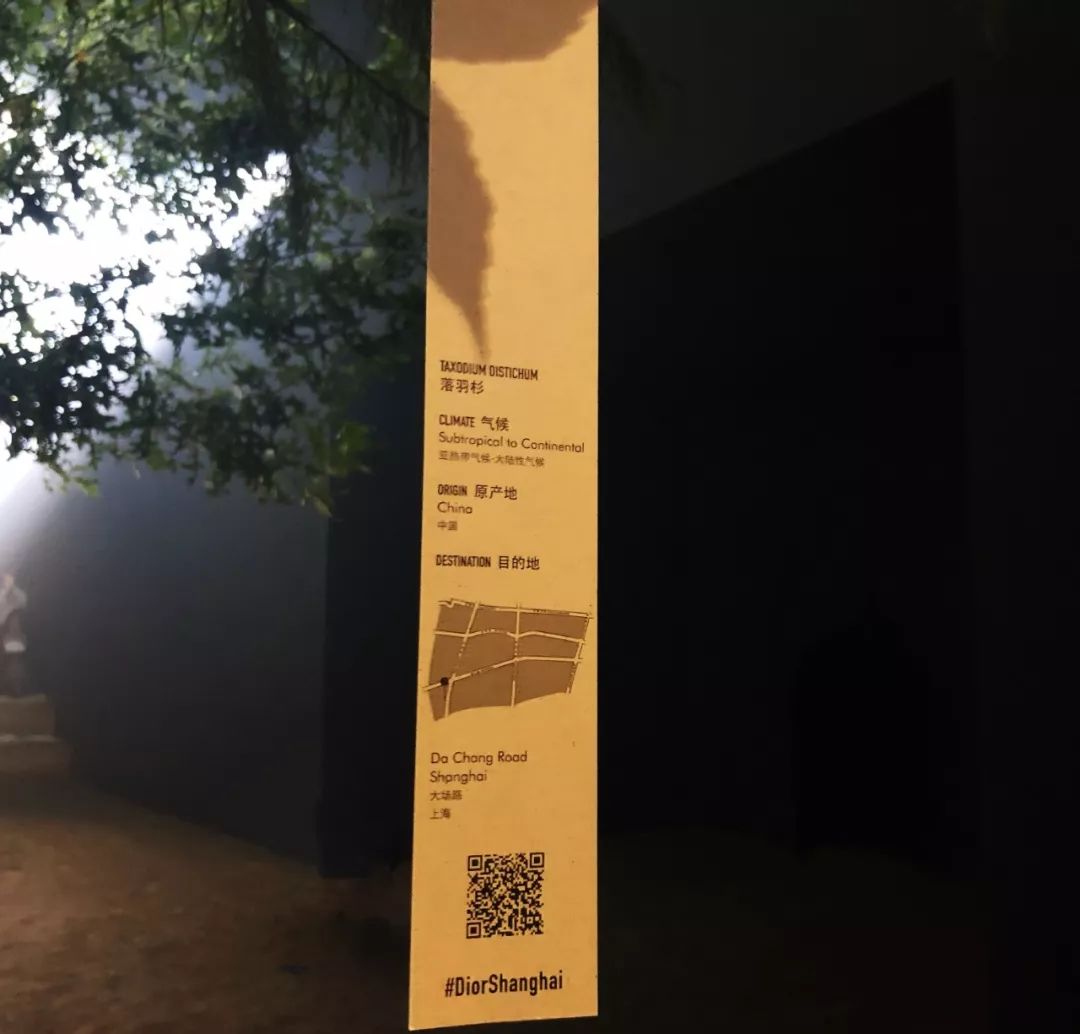 最值得买的dior,dior值得买的马鞍包是哪款