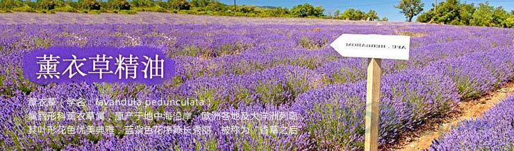 怎样鉴别精油是小分子的,怎样鉴别精油的品质