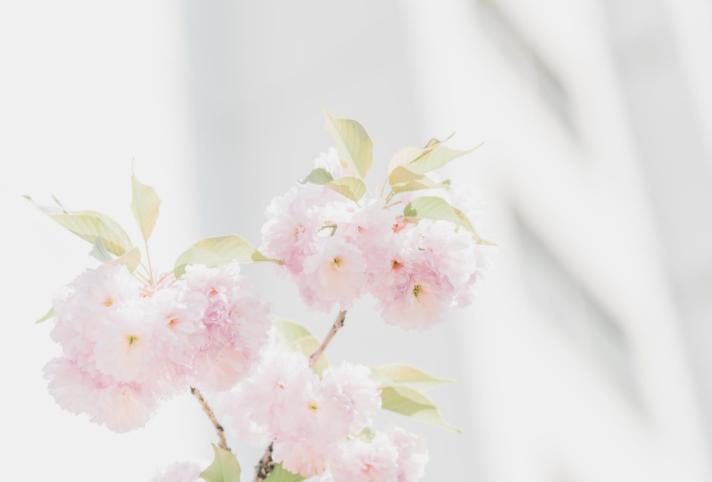 最好的生活态度就是顺其自然,顺其自然是对生活最好的选择