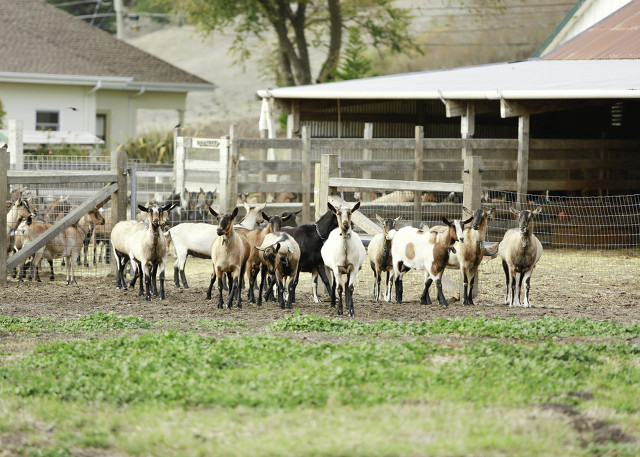 如何申办农业家庭农场,家庭农场怎么申请营业执照