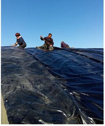 鑺辨埧濮戝澶氳倝閰嶅湡,鑺辨埧濮戝鐜夐湶澶氳倝