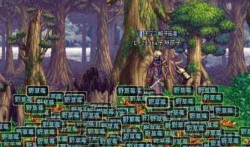 玩家被骗万元，在游戏里疯狂*号盗**出气，却因为一个傻子改邪归正？