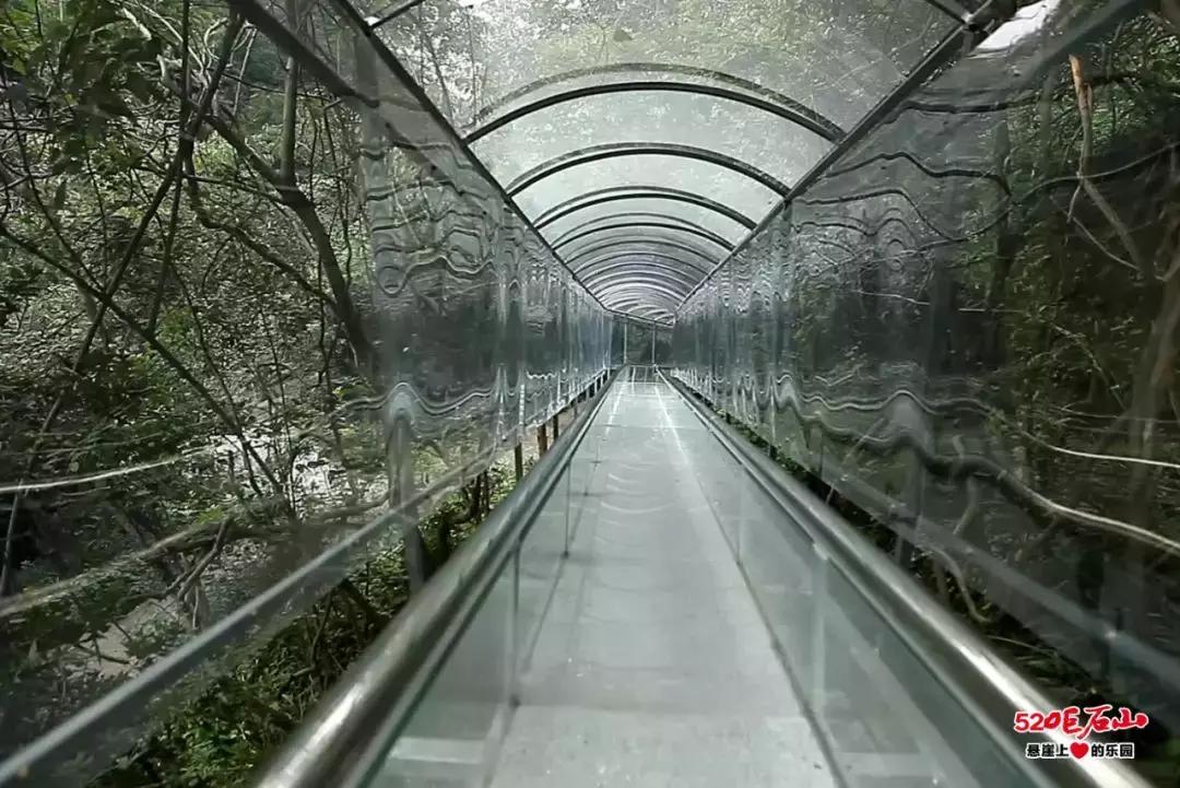 520巨石山悬崖上的乐园“遇见你，见证爱”