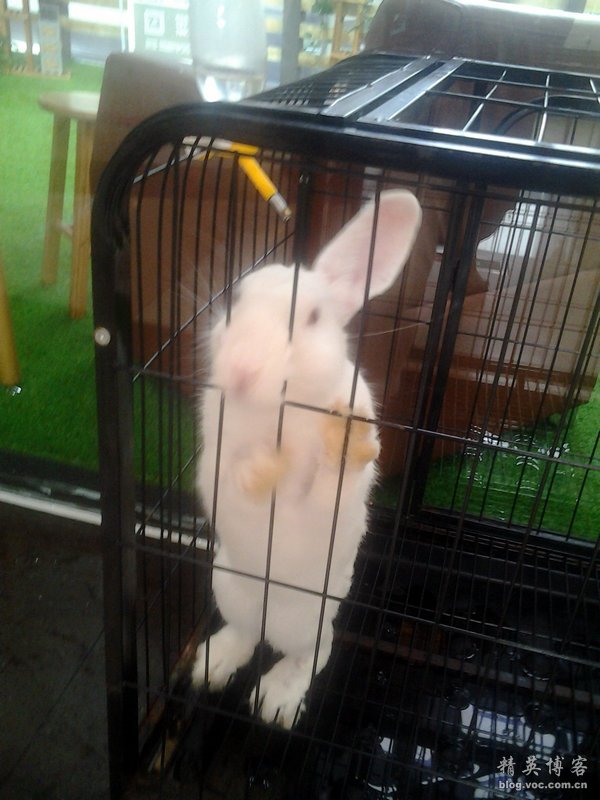 鏍床缇庣殑鏃朵唬骞垮満,鏍床缇庣殑鏃朵唬骞垮満鍋滆溅鏀惰垂