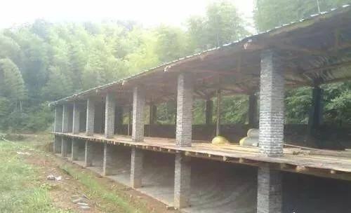 农村羊舍搭建方法,简易羊舍搭建价格