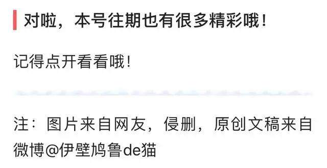 最值得买的多肉品种,包邮最漂亮多肉