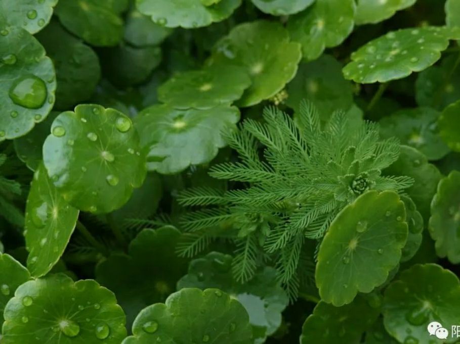 高中必背英语单词3500记不住补救,英语单词3500记忆方法