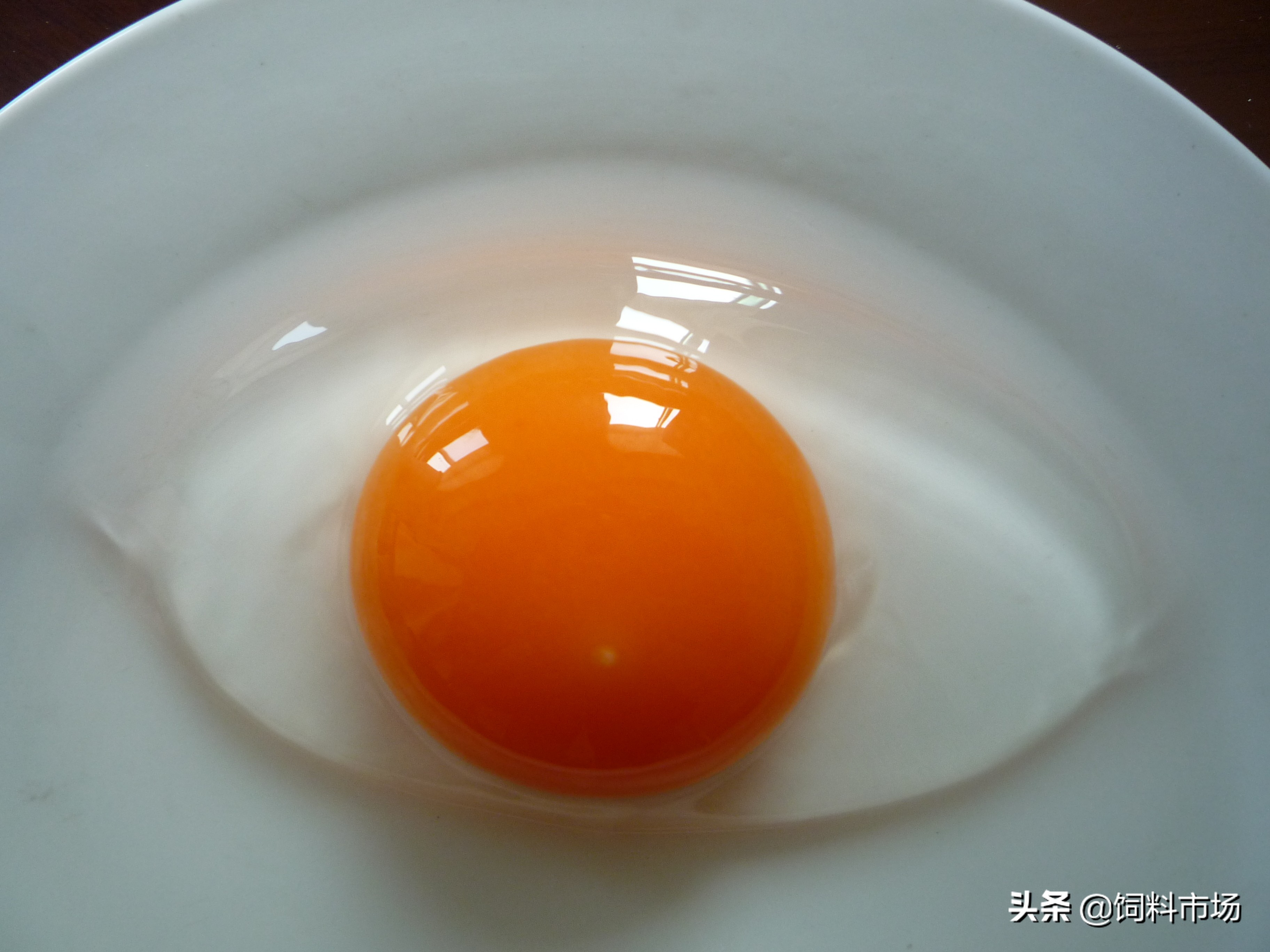 麻鸭肉质紧实鲜嫩美味,细长脖子麻鸭