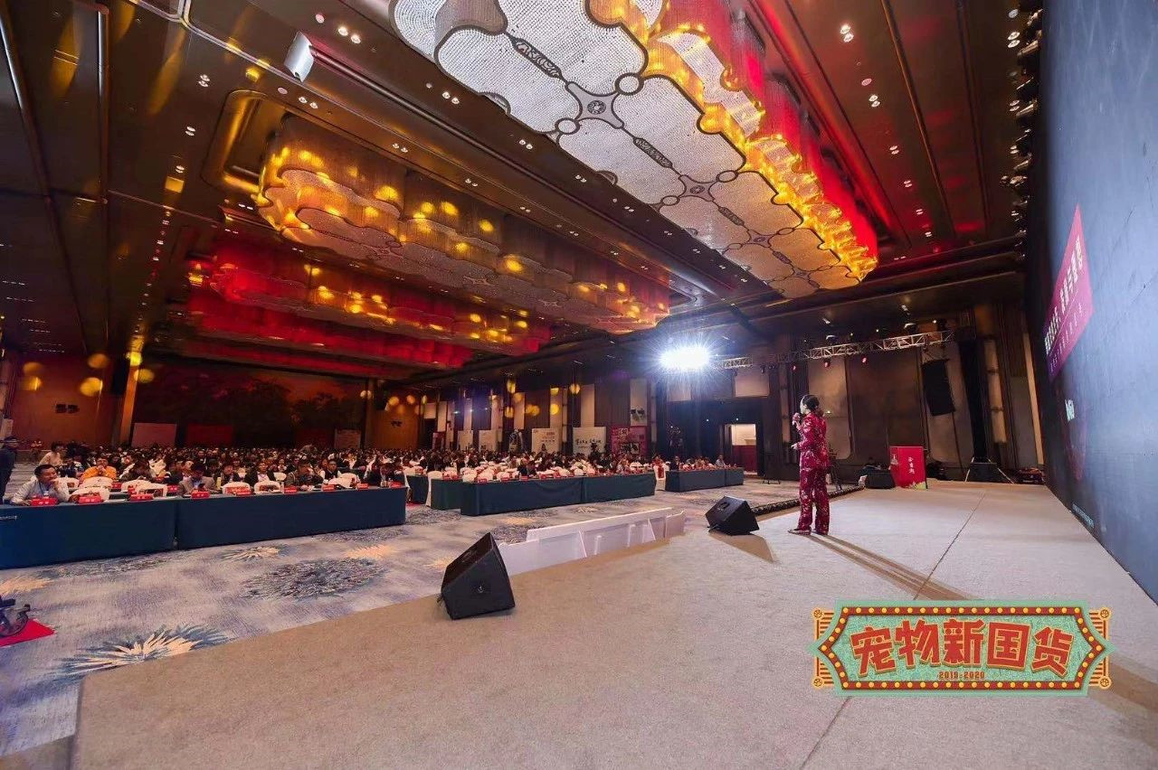 波奇宠物公司,波奇宠物怎么样