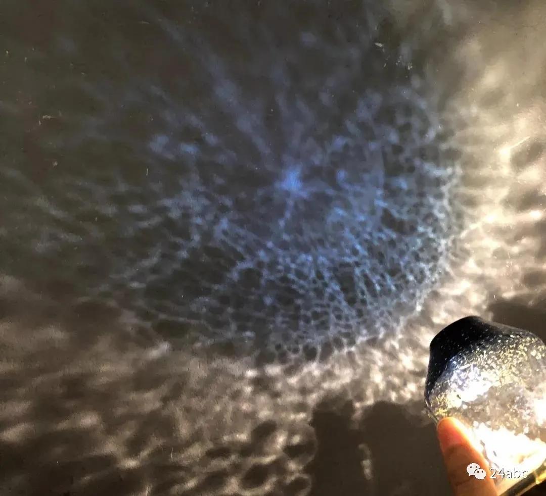 ezOrderx近铁百货=一件海淘，买遍日本