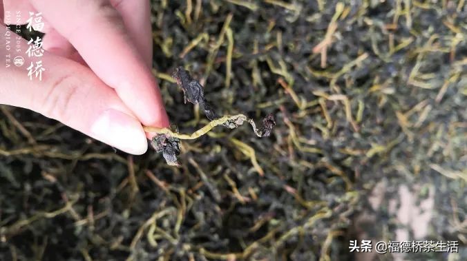 永春佛手春茶,永春佛手茶叶产区