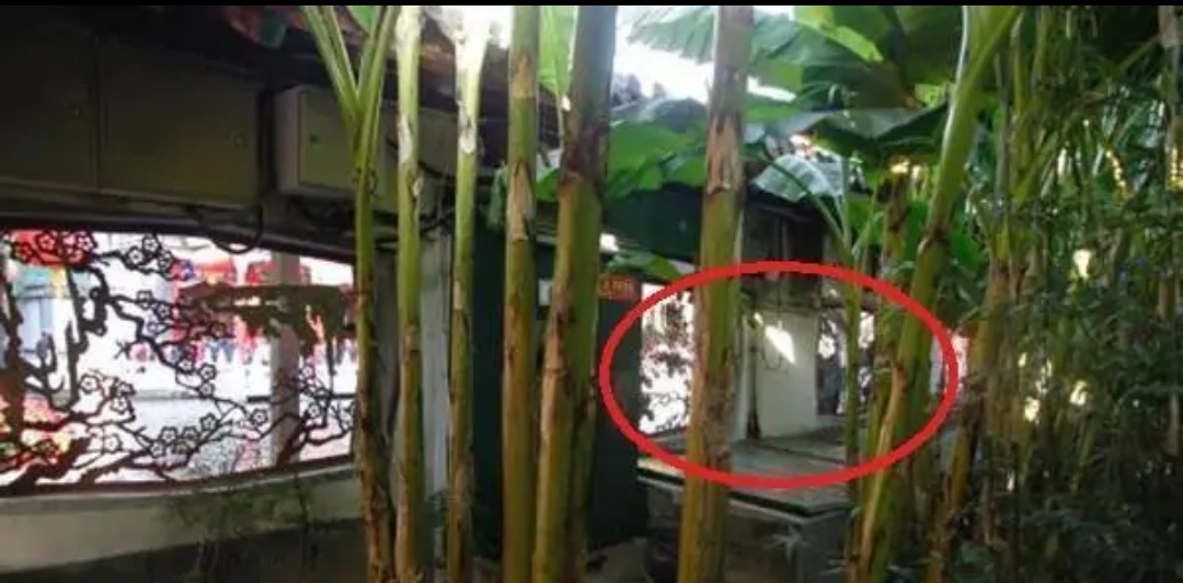 趵突泉最新事件,趵突泉水泵事件