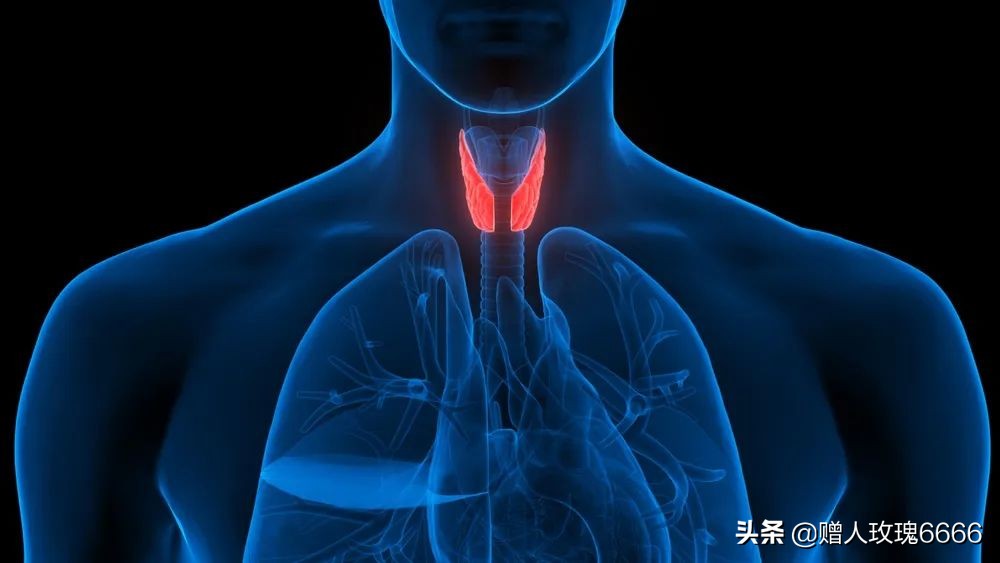 一天内连续测了两次肝功,查甲功要多久出结果