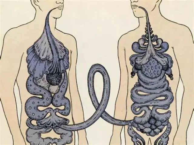 安倍晋三溃疡性结肠炎复发辞职,日本首相的肠炎治好了吗