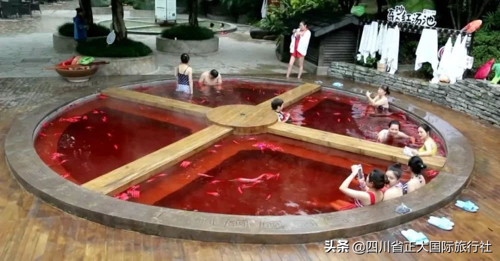 世界行为迷惑大赏,世界迷惑行为大赏解说