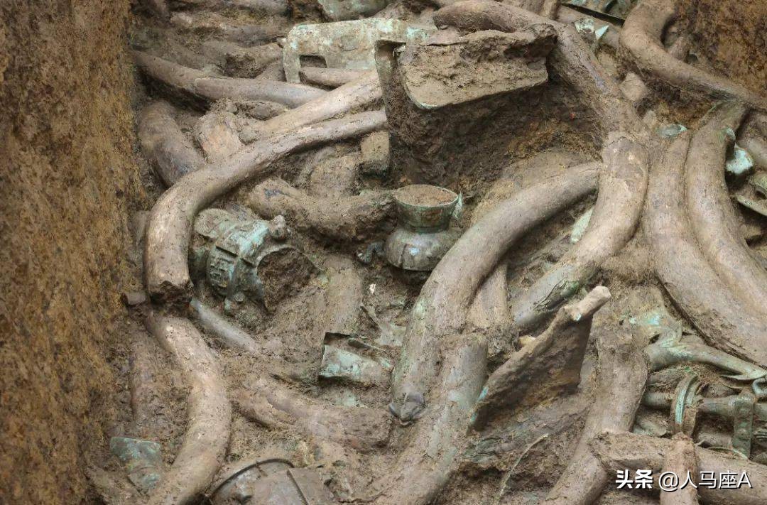 云南野象为什么只有15只野象迁徙,云南15头野象一路向北迁徙的原因