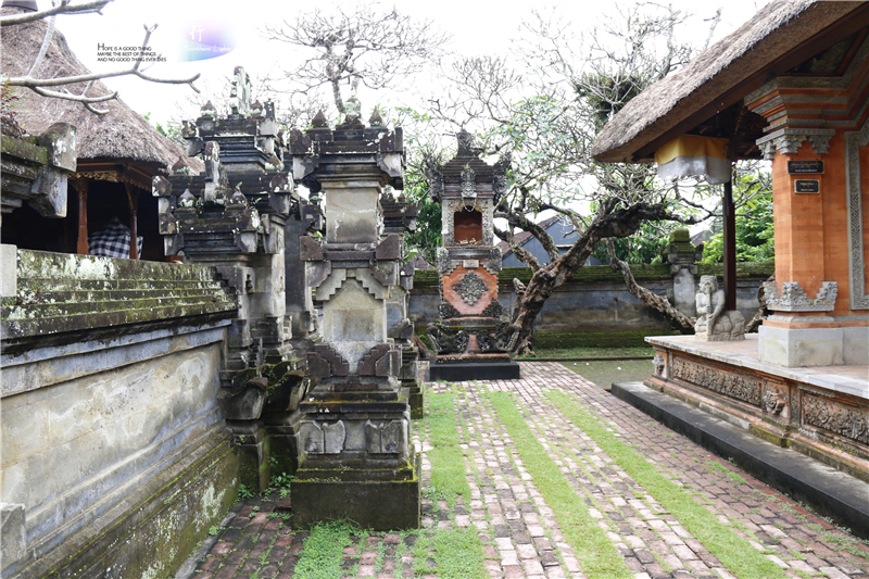 印尼猫屎咖啡比普通咖啡贵几倍,雅丁山印尼猫屎风味咖啡价格