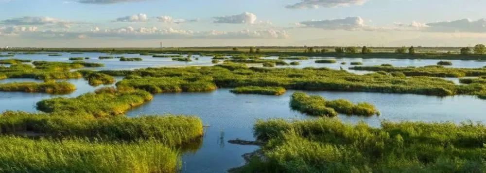 2021年济南人口还会增长吗,济南未来的潜力到底有多大