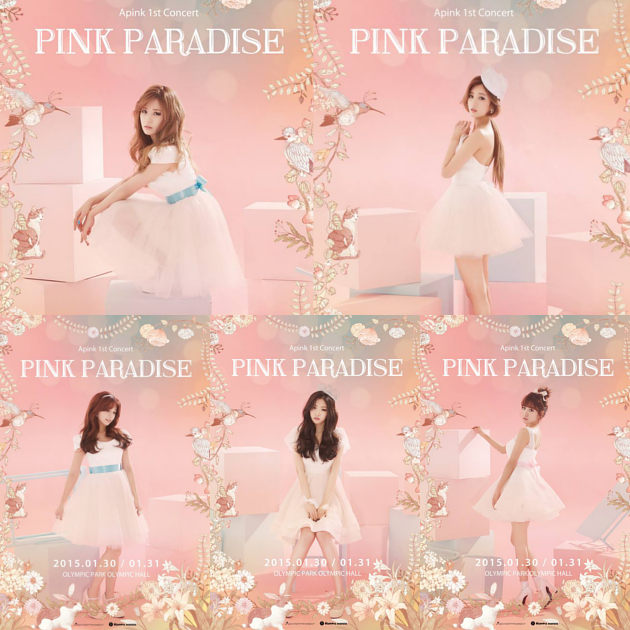 apinkmelon年榜,apink获奖现场