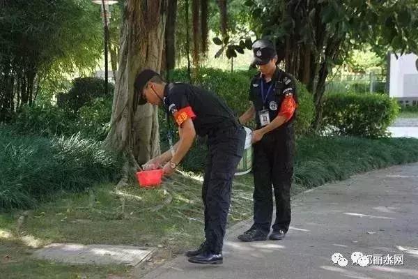 惠州小区发现眼镜蛇,一小区出现蛇