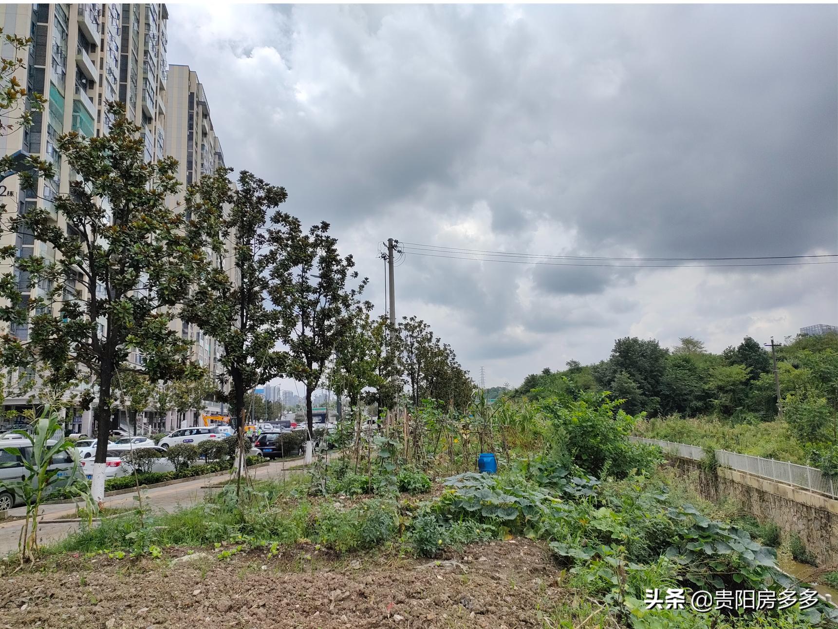 贵阳远洋观山天铂房价,贵阳远洋观山天铂跃层样板间