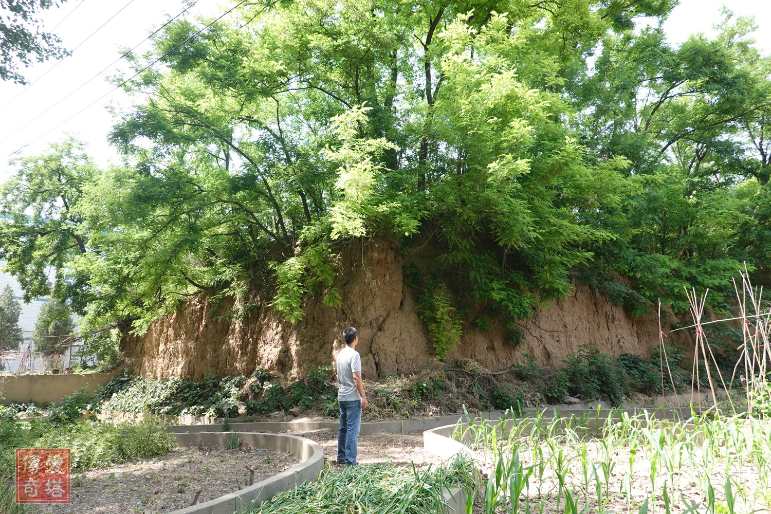 2020年经典电视剧有哪些,2020年将要播出的电视剧有哪些