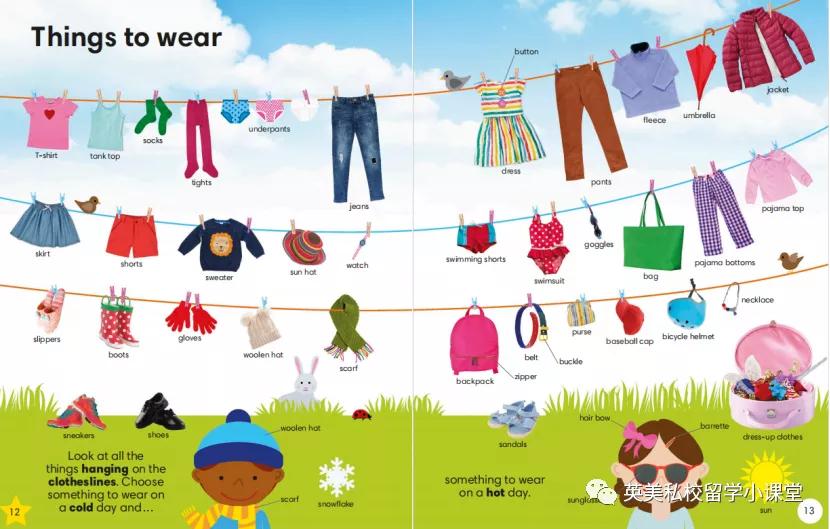 12岁推荐看的知识书,12岁儿童学dk书籍