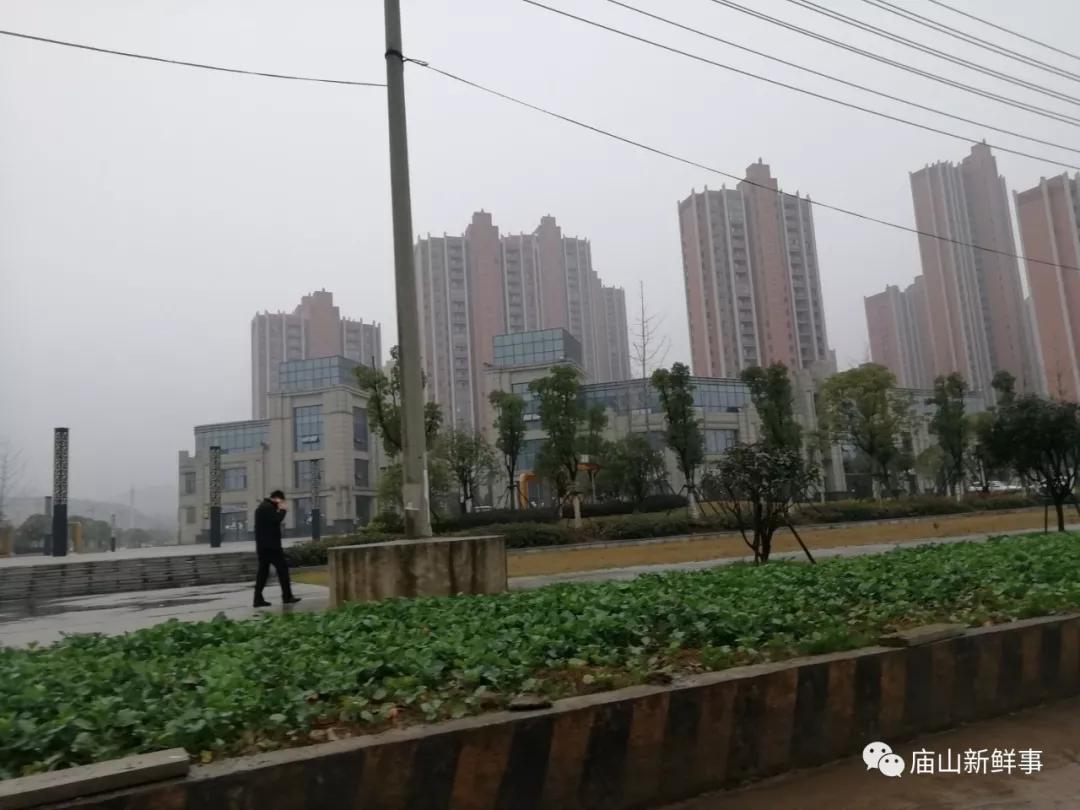 江夏地铁7号线最近新消息,江夏五里界9号线