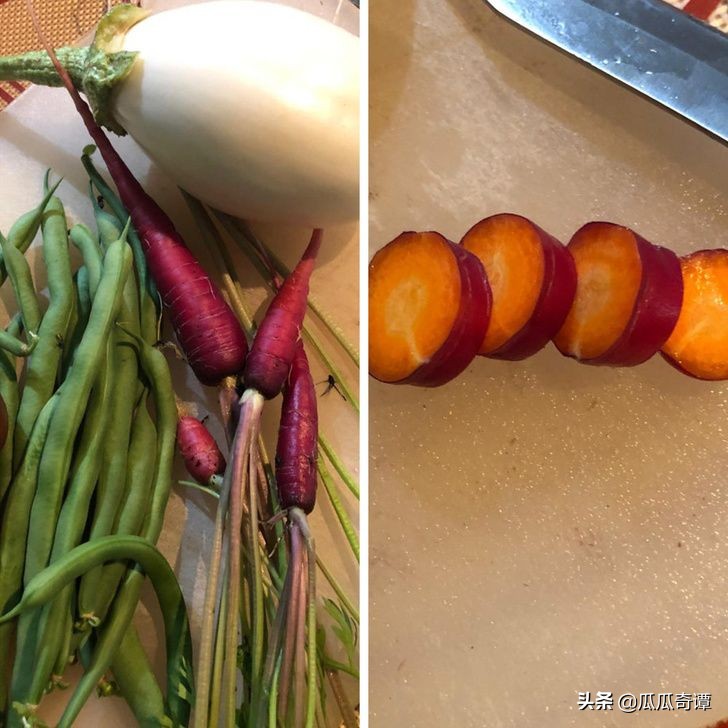 恶魔果实水果性能,恶魔果实图鉴108种属性