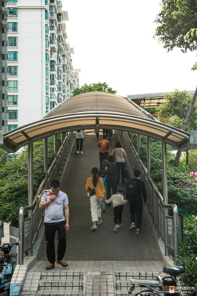 罗湖区莲塘有什么好玩的,罗湖莲塘风景